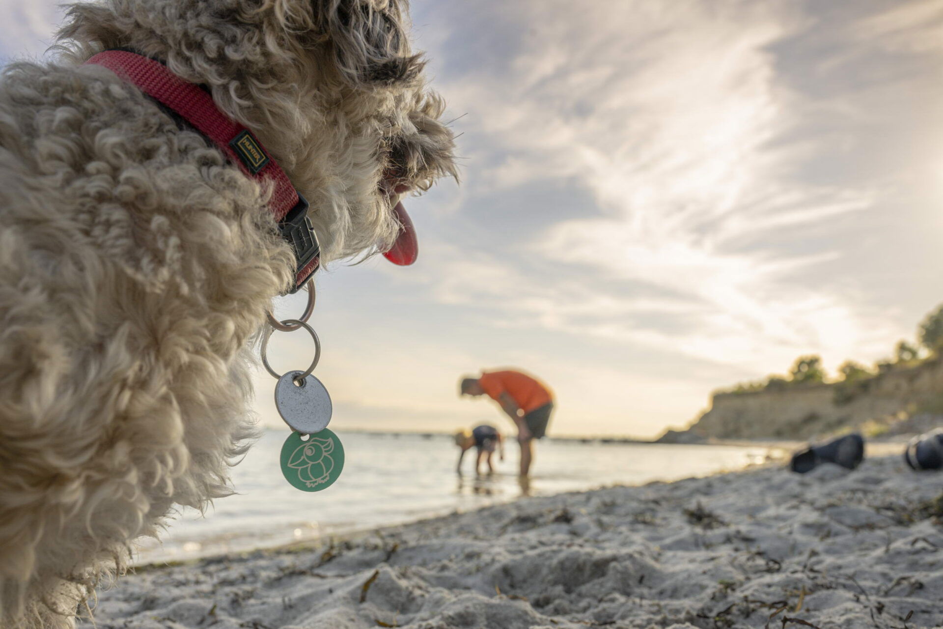 Vater,  sein Kind und ein Hund spielen barfuß am Strand.